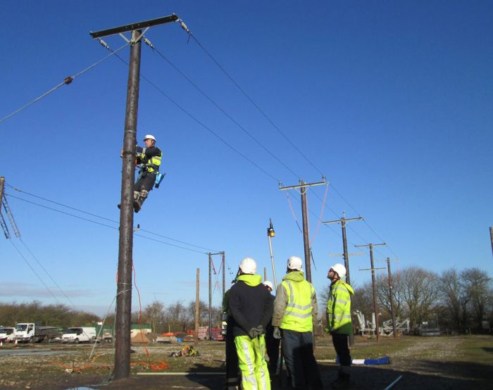Worker wearing safety gear climbs a utility pole while four others in high-visibility clothing and helmets observe from the ground on a clear day.