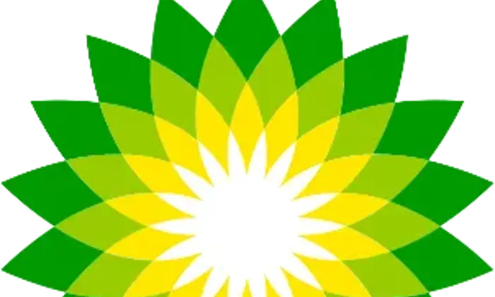 BP logo featuring a green and yellow geometric flower design with lowercase "bp" letters in green at the top right.