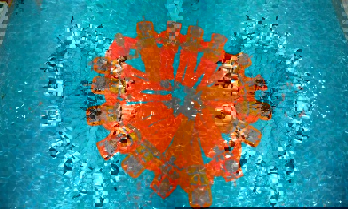 431136 291672527607174 317492418 N