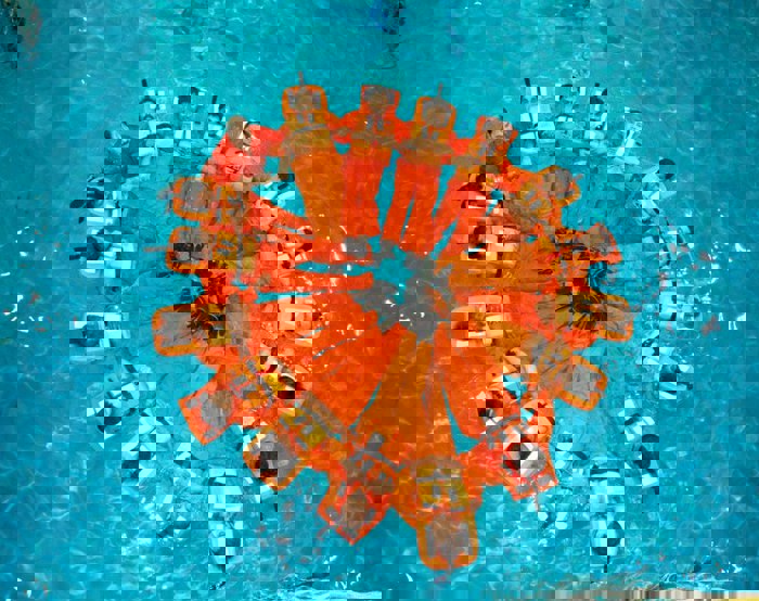 A group of people in orange suits and life jackets form a circle while floating in a pool, viewed from above.